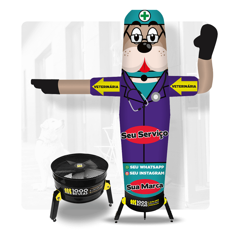 Destaque Galeria Boneco Biruta Personalizado | 1000 Birutas
