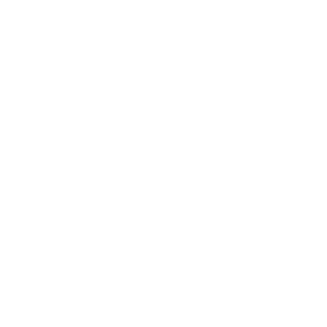 Ícone Referência no Mercado | 1000 Birutas